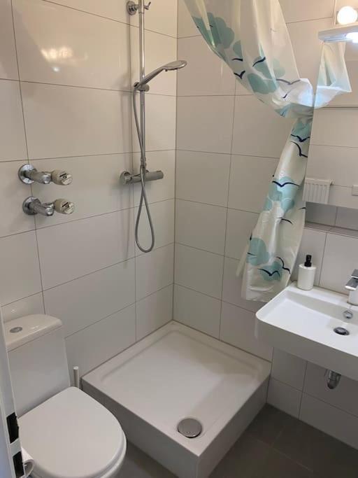 Schoene, Kleine, Gemuetliche Wohnung - Stadtmitte Майнц Екстер'єр фото