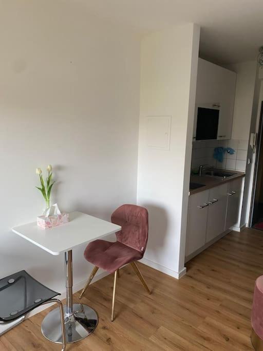 Schoene, Kleine, Gemuetliche Wohnung - Stadtmitte Майнц Екстер'єр фото