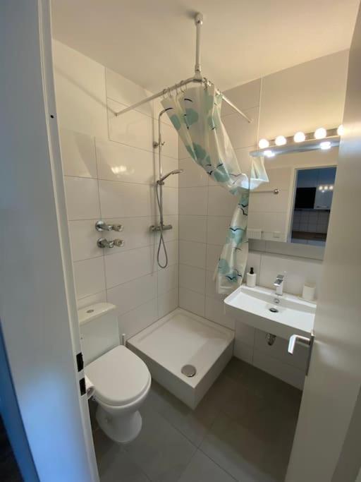 Schoene, Kleine, Gemuetliche Wohnung - Stadtmitte Майнц Екстер'єр фото